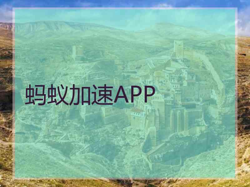 蚂蚁加速APP