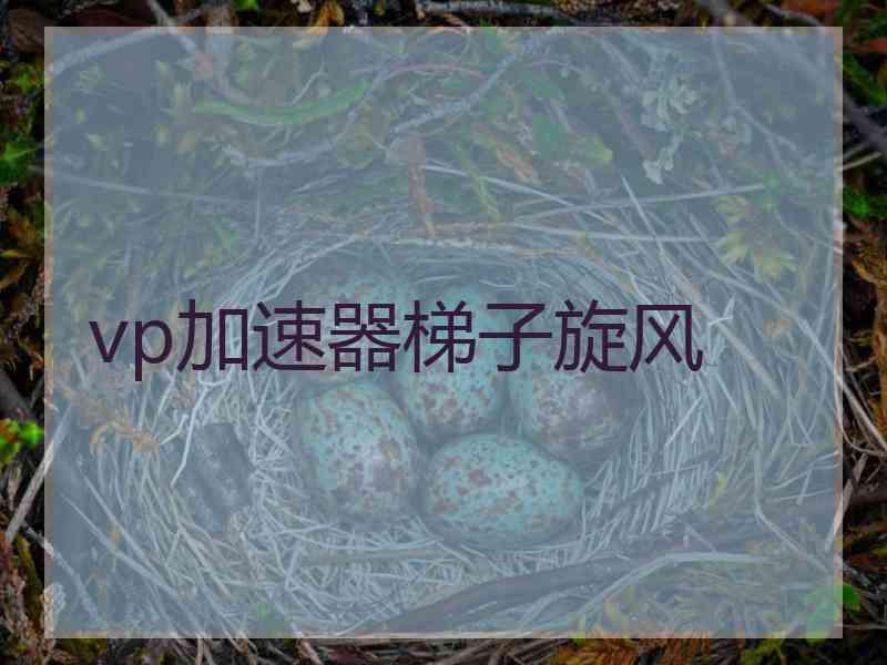 vp加速器梯子旋风