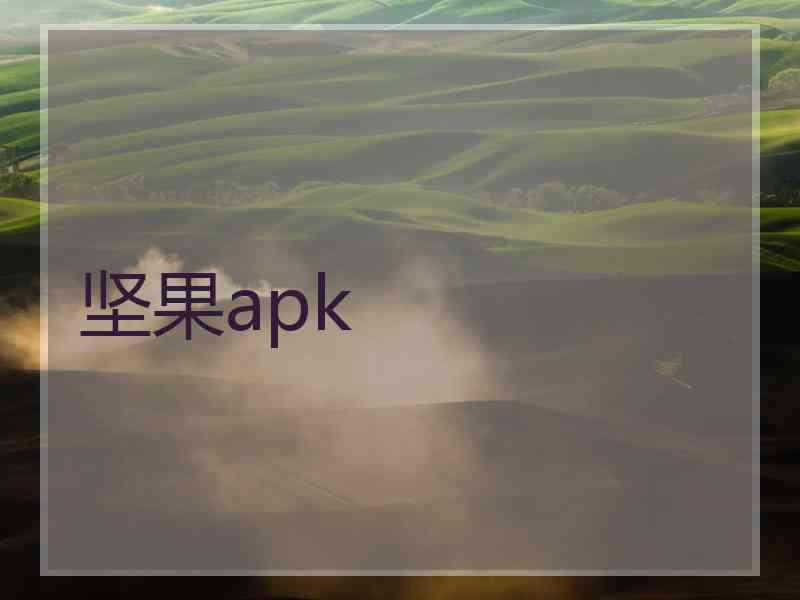 坚果apk