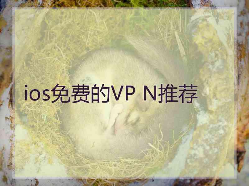 ios免费的VP N推荐