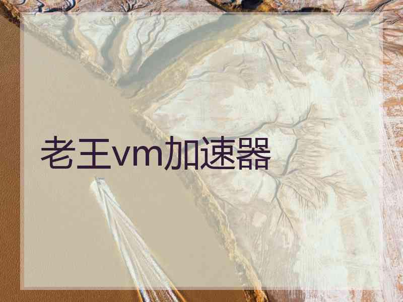 老王vm加速器