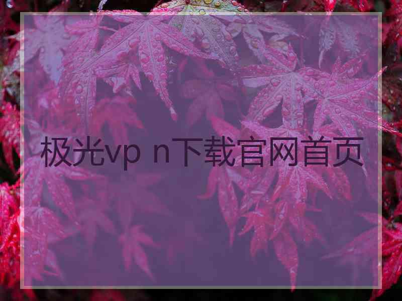 极光vp n下载官网首页