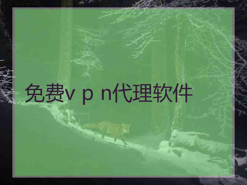 免费v p n代理软件