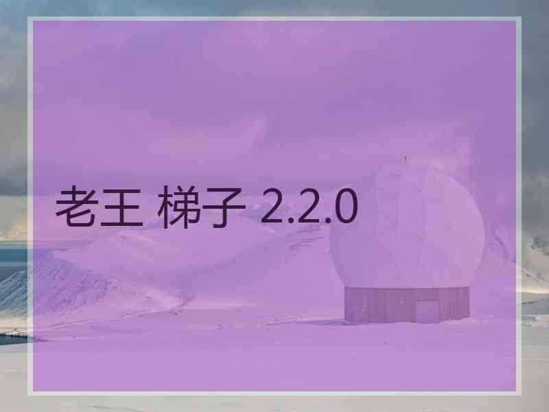 老王 梯子 2.2.0