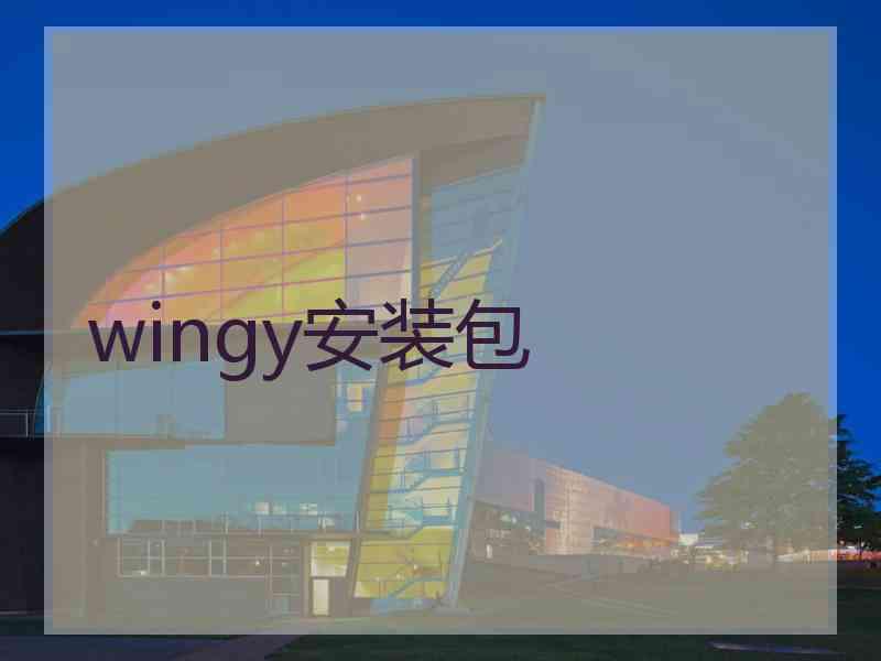 wingy安装包