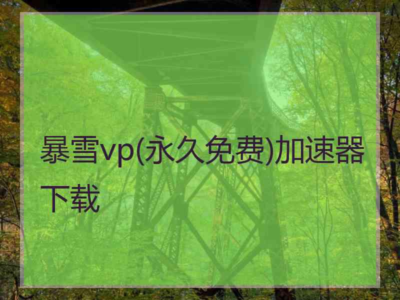 暴雪vp(永久免费)加速器下载