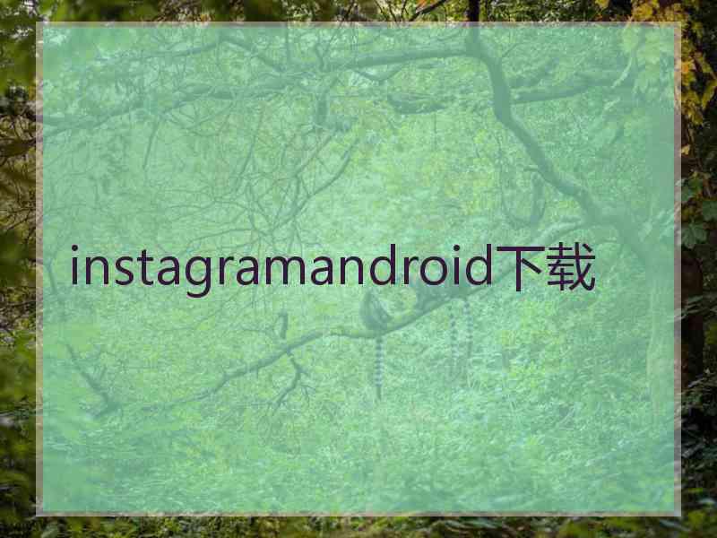 instagramandroid下载