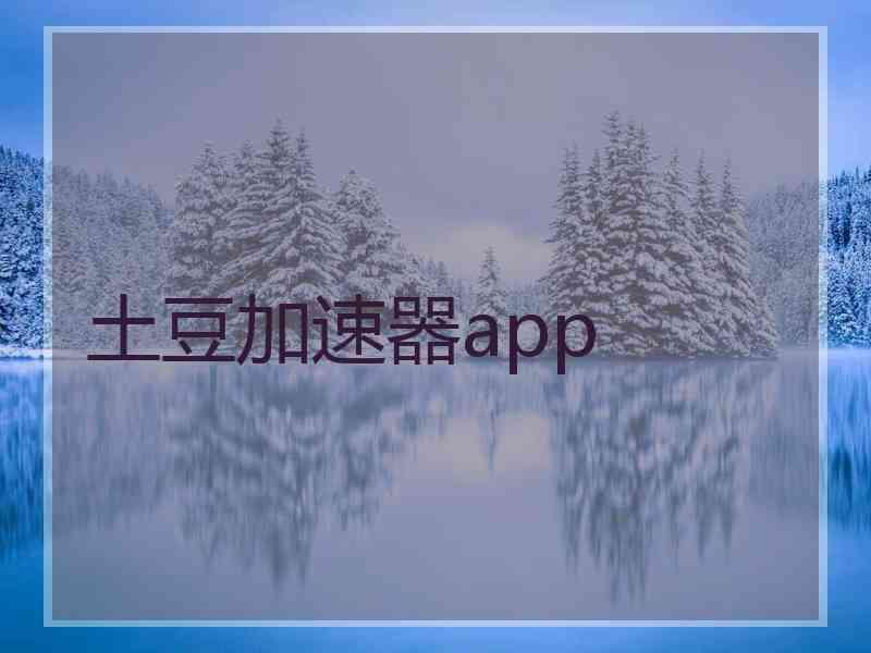 土豆加速器app