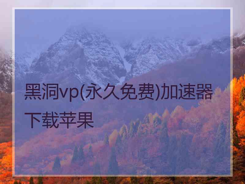 黑洞vp(永久免费)加速器下载苹果