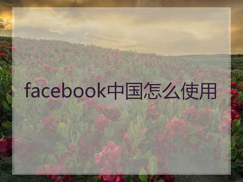 facebook中国怎么使用