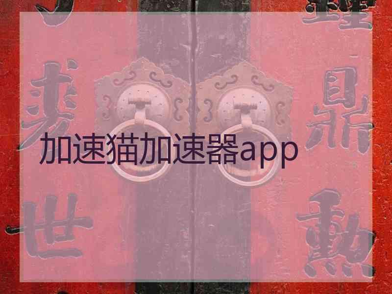 加速猫加速器app