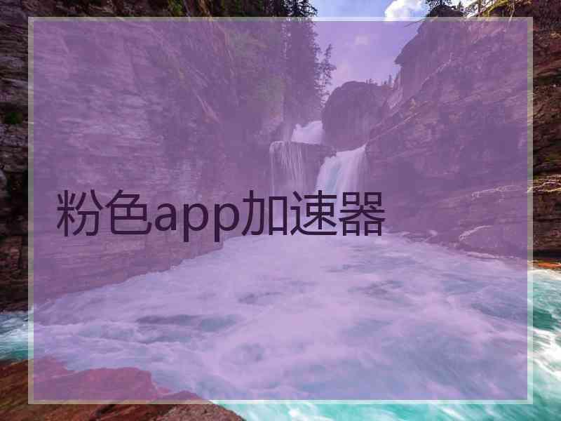 粉色app加速器