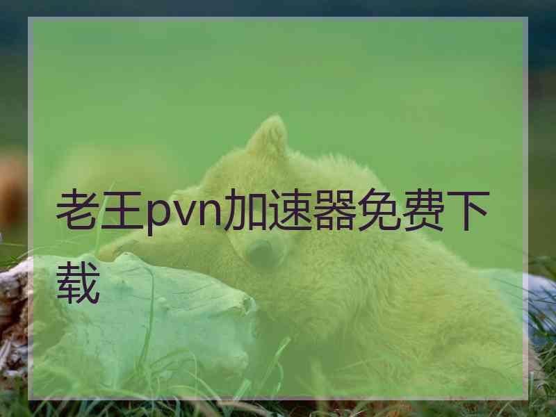 老王pvn加速器免费下载