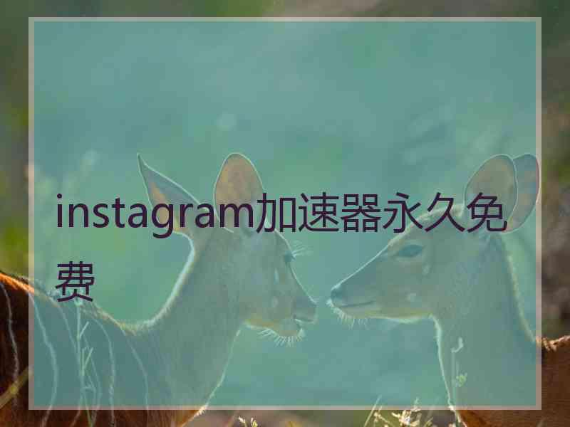 instagram加速器永久免费