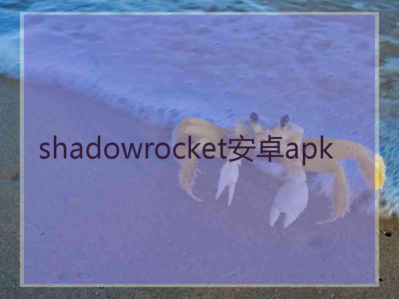 shadowrocket安卓apk