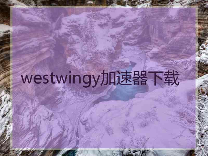 westwingy加速器下载