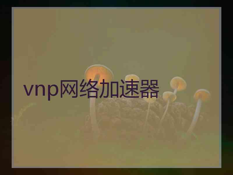 vnp网络加速器