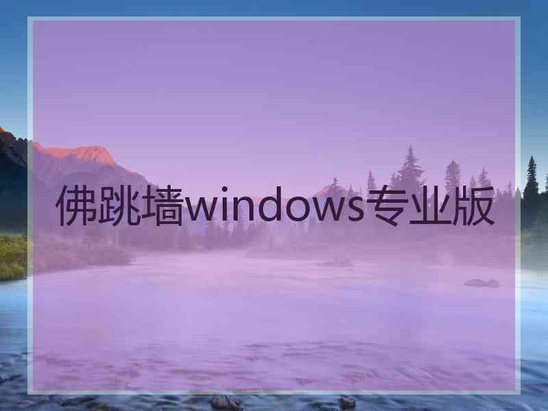 佛跳墙windows专业版