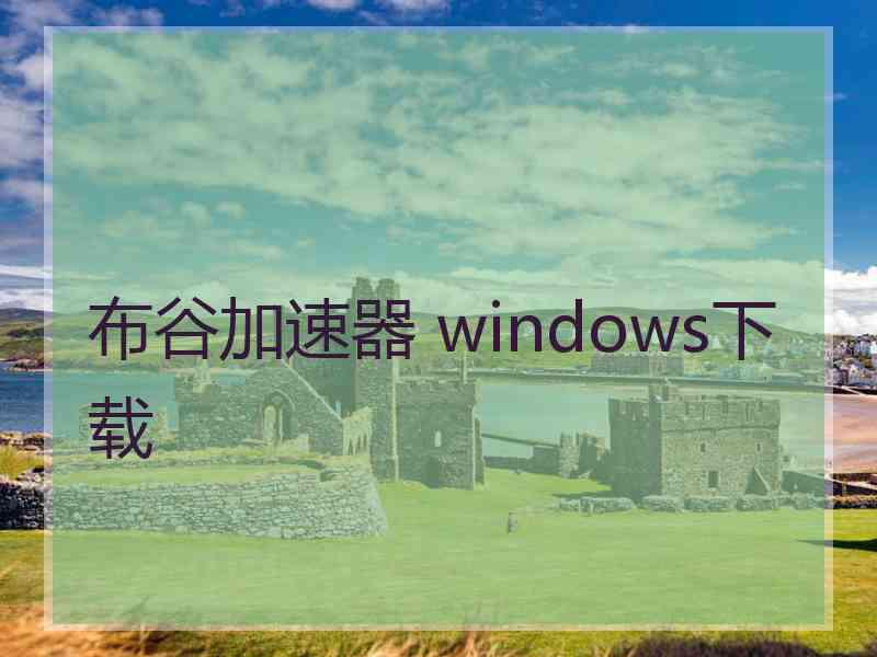 布谷加速器 windows下载