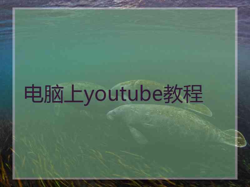 电脑上youtube教程