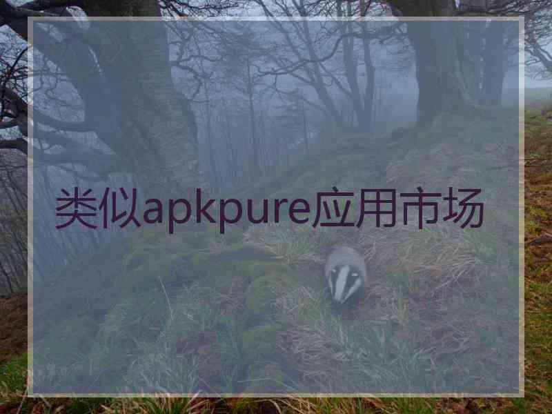 类似apkpure应用市场