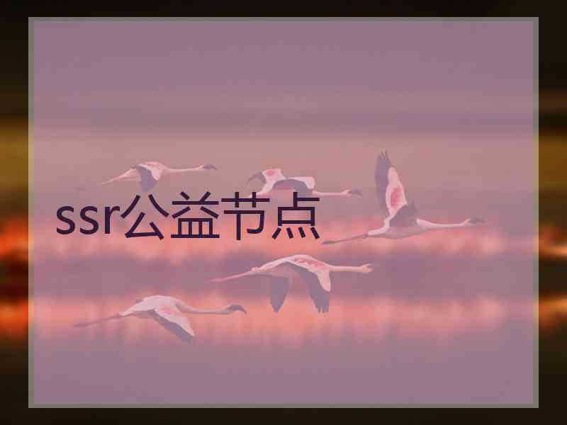 ssr公益节点