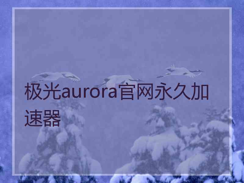 极光aurora官网永久加速器