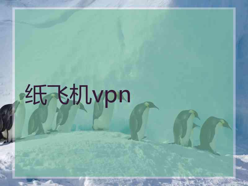 纸飞机vpn