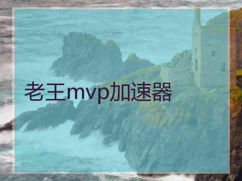 老王mvp加速器