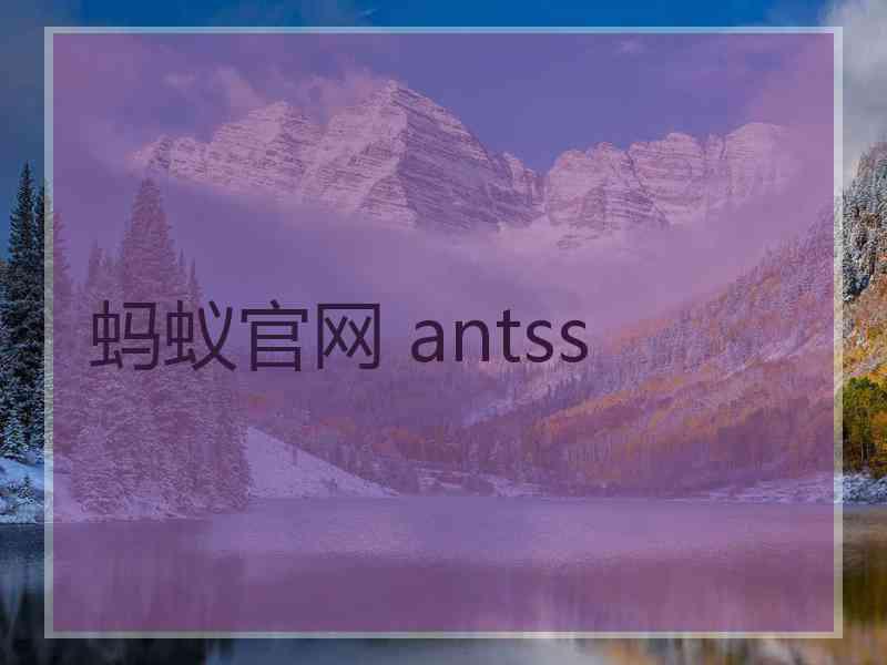 蚂蚁官网 antss