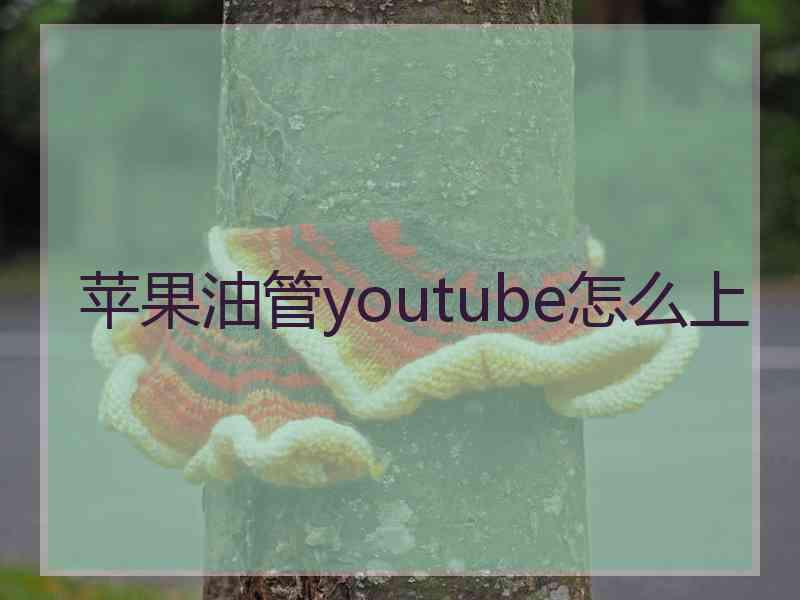 苹果油管youtube怎么上