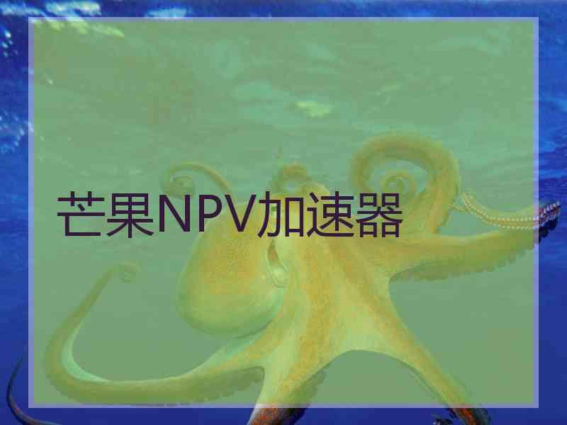 芒果NPV加速器