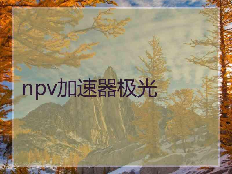 npv加速器极光