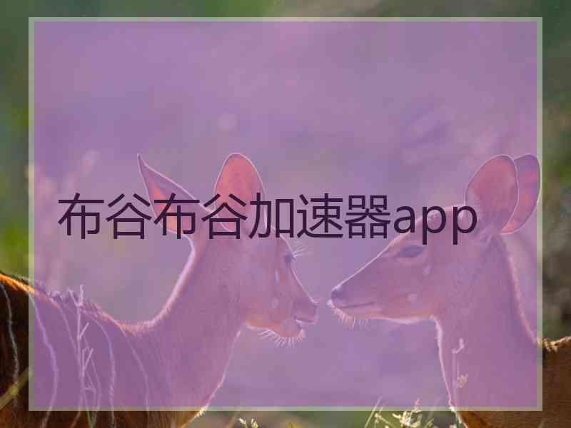 布谷布谷加速器app