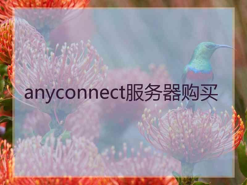 anyconnect服务器购买