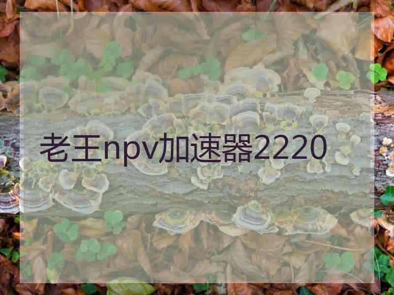 老王npv加速器2220