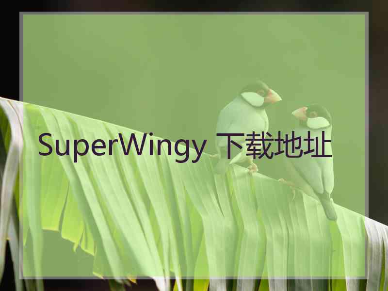 SuperWingy 下载地址