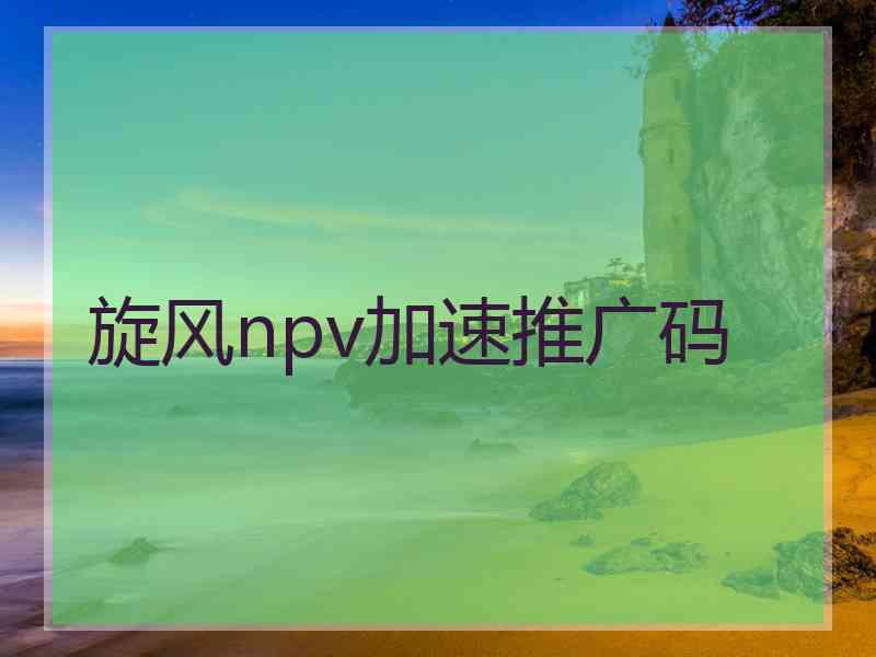 旋风npv加速推广码