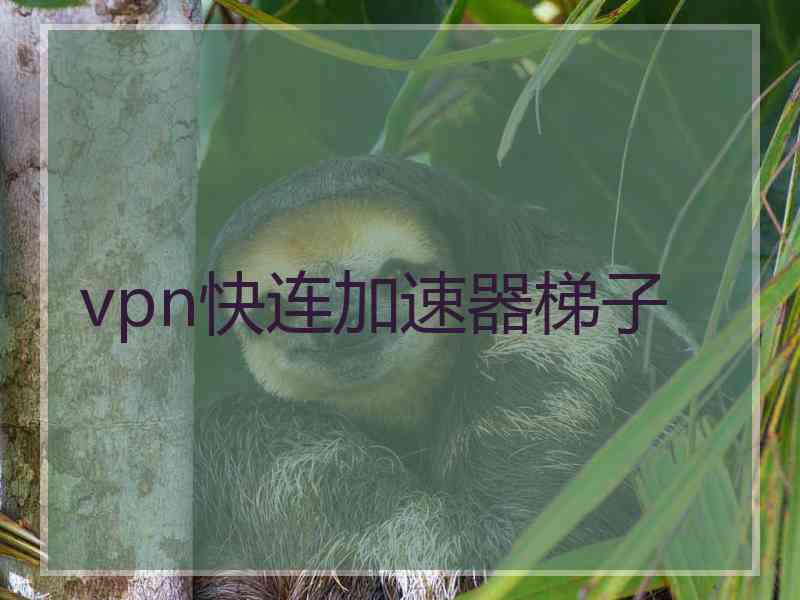 vpn快连加速器梯子