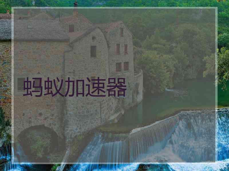 蚂蚁加速器