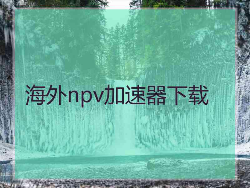 海外npv加速器下载