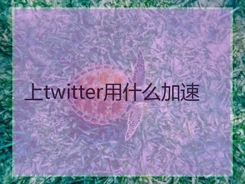 上twitter用什么加速