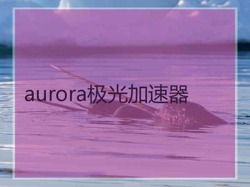 aurora极光加速器