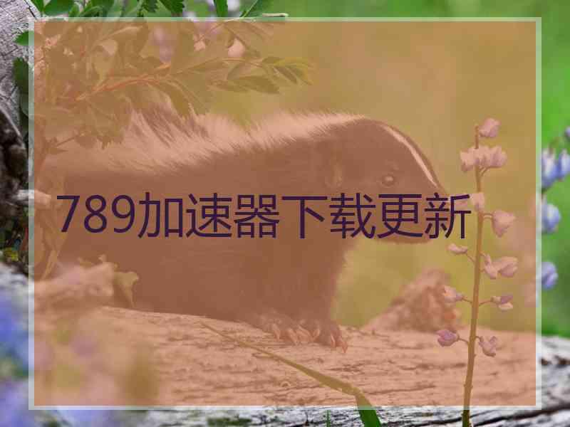 789加速器下载更新