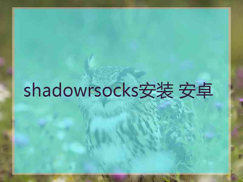 shadowrsocks安装 安卓