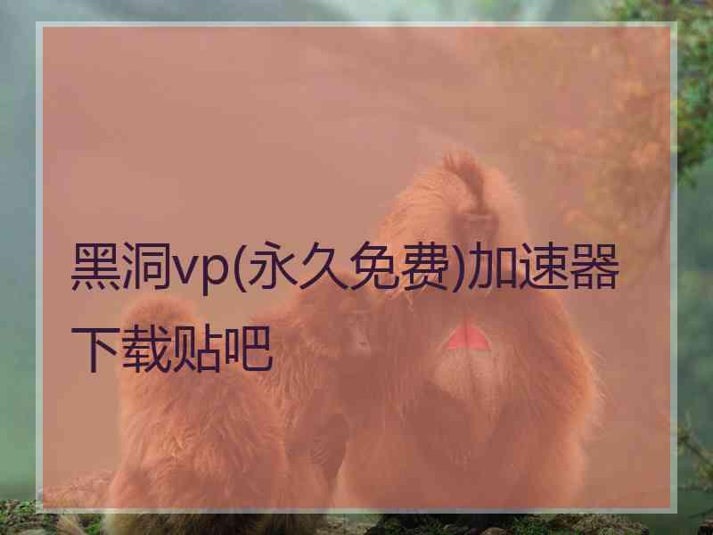 黑洞vp(永久免费)加速器下载贴吧