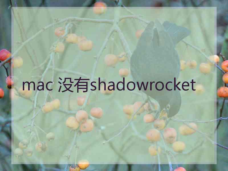 mac 没有shadowrocket