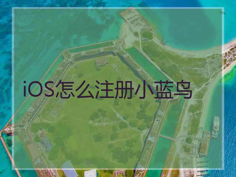 iOS怎么注册小蓝鸟