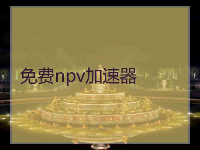 免费npv加速器