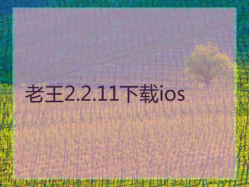 老王2.2.11下载ios